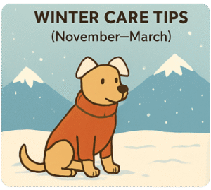 winter-care